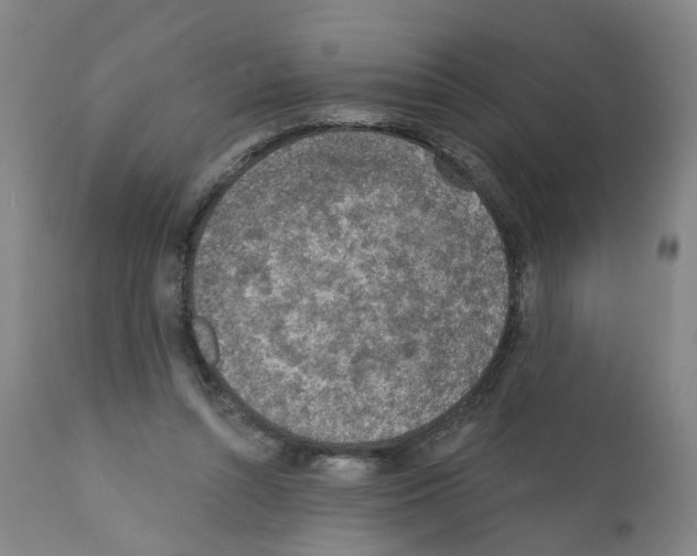 X0000112380352200909241220