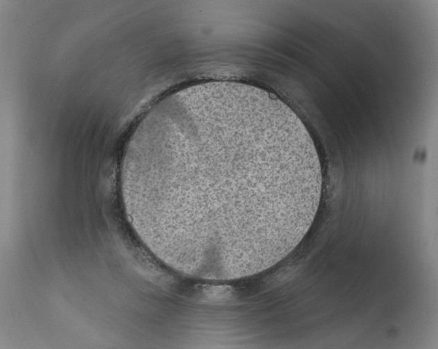 X0000112380355200909241220