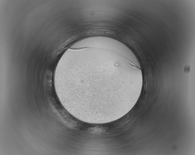 X0000112380356200909241220