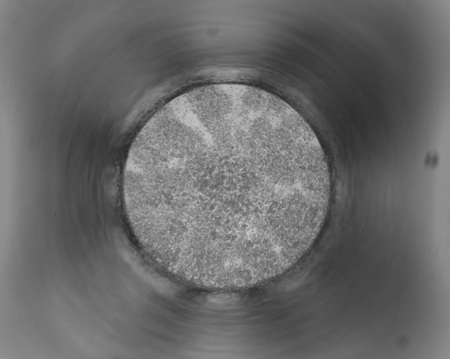 X0000112380357200909241220