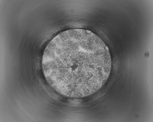 X0000112380359200909241220