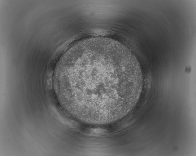 X0000112380360200909241220