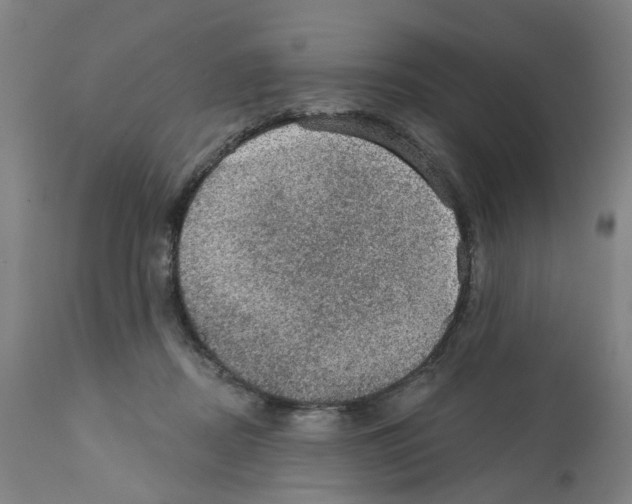 X0000112380362200909241220