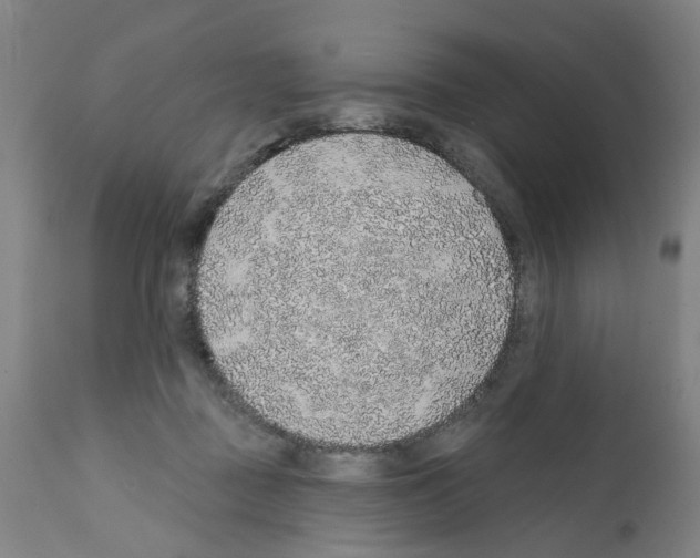 X0000112380363200909241220