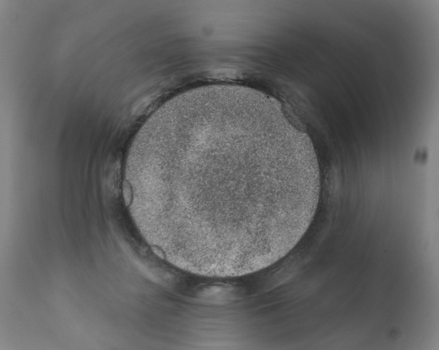 X0000112380364200909241220