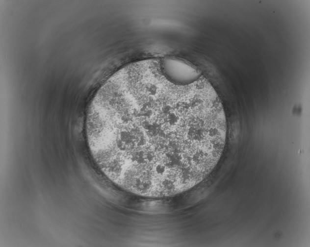 X0000112380365200909241220