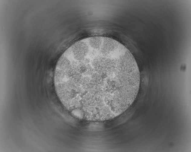 X0000112380369200909241220