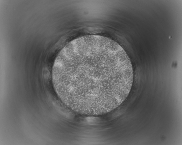 X0000112380371200909241220