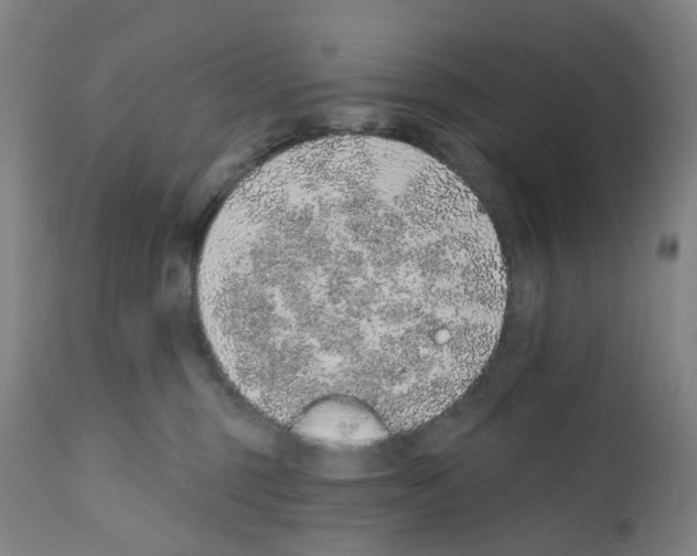 X0000112380375200909241220