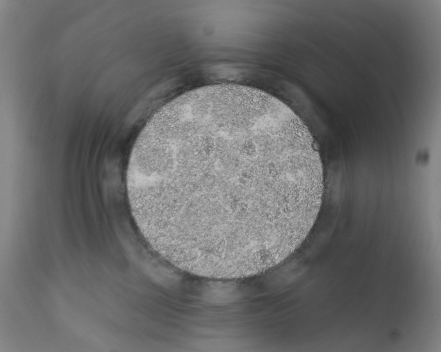 X0000112380377200909241221