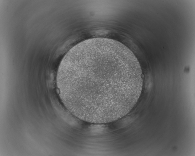 X0000112380378200909241221