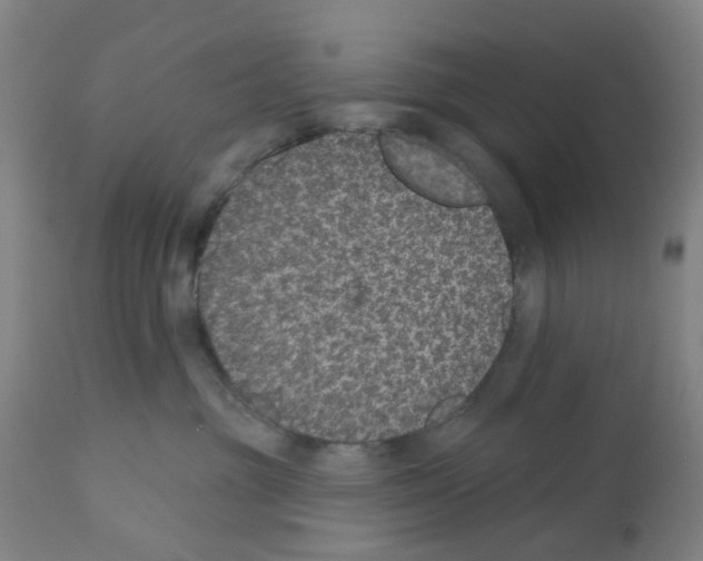 X0000112380381200909241221