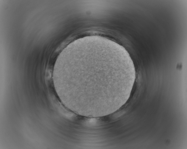 X0000112380382200909241221