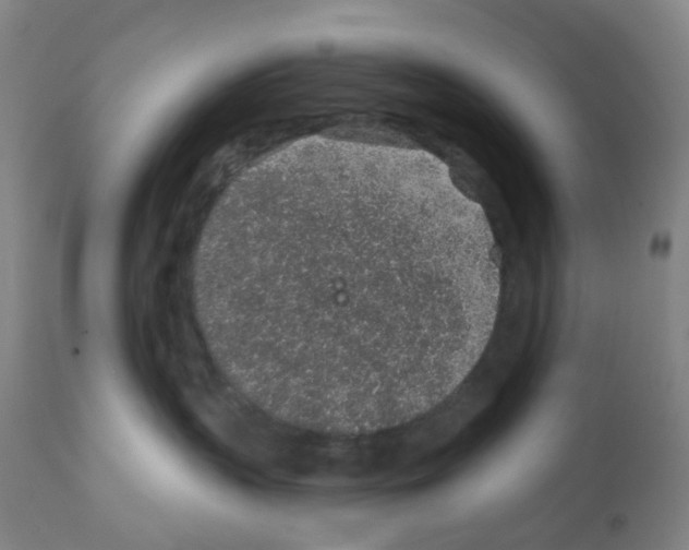 X0000112380383200909241221