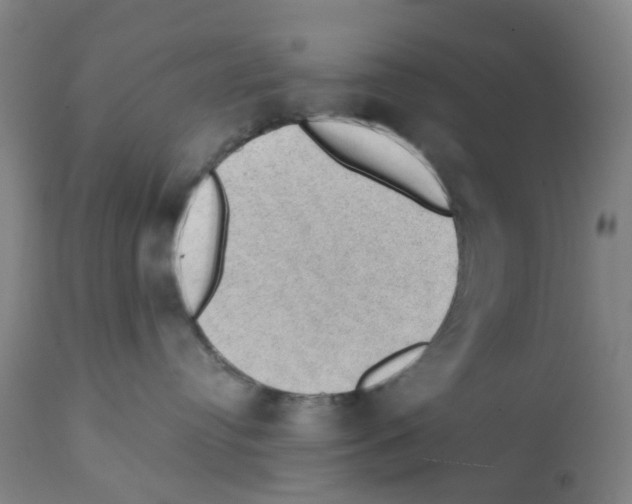 X0000112380384200909241221