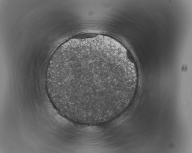 X0000112380385200909241220