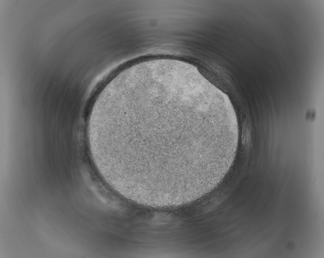 X0000112380388200909241220