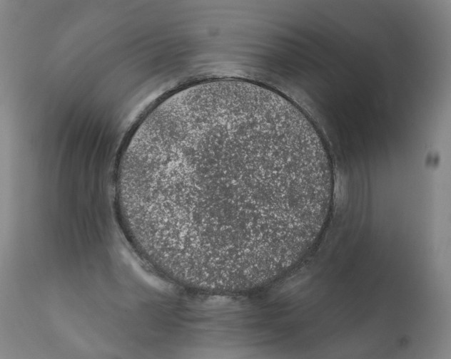 X0000112380390200909241220