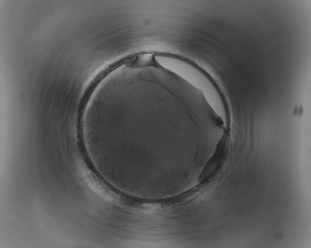 X0000112380391200909241220