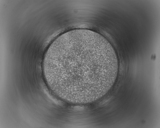 X0000112380394200909241220