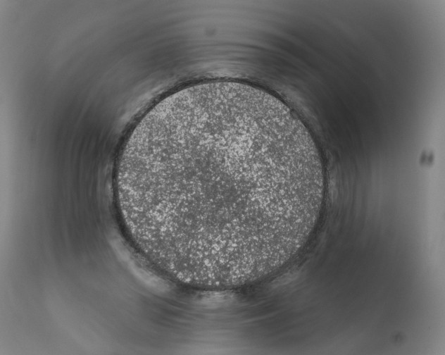 X0000112380398200909241220