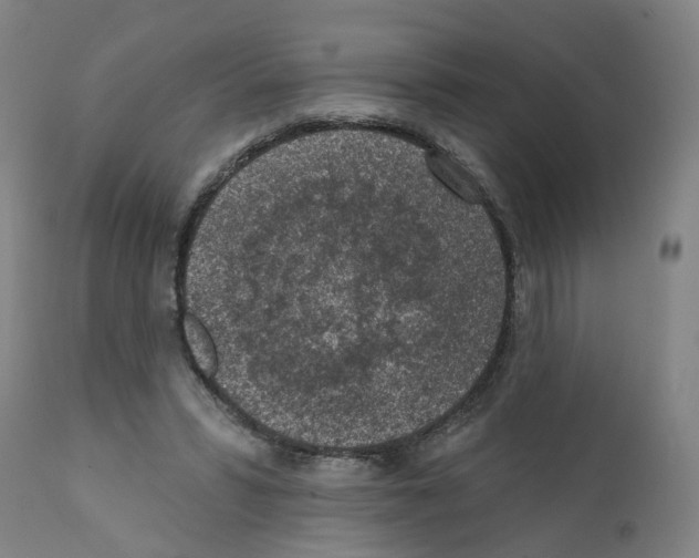 X0000112380399200909241220