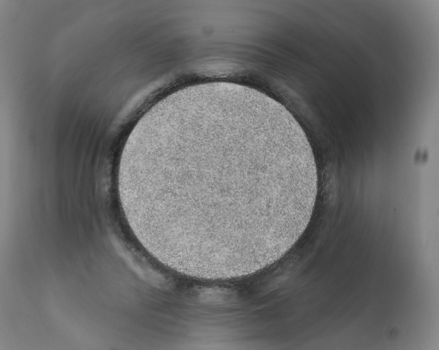 X0000112380400200909241220