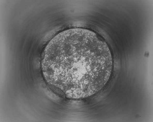 X0000112380401200909241220