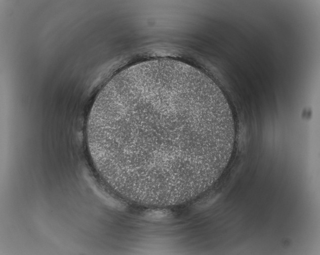 X0000112380402200909241220