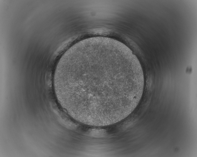 X0000112380403200909241220