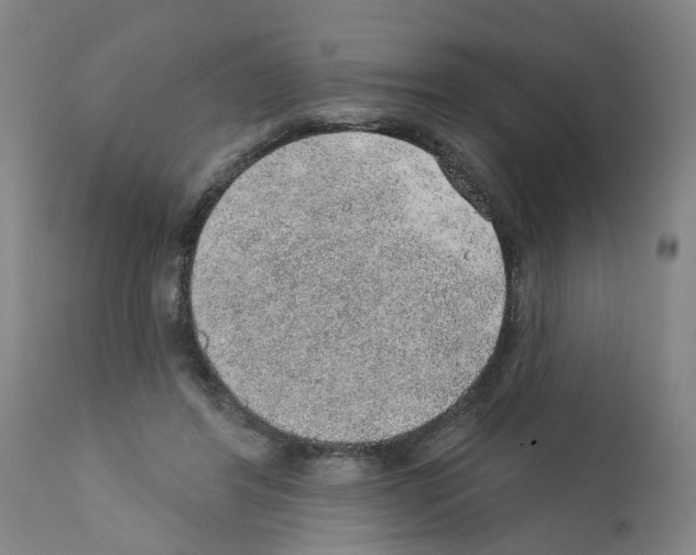 X0000112380404200909241220