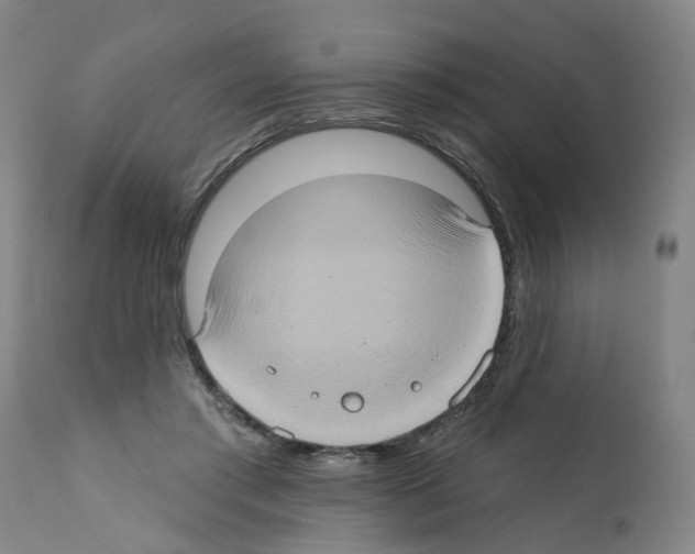 X0000112380405200909241220