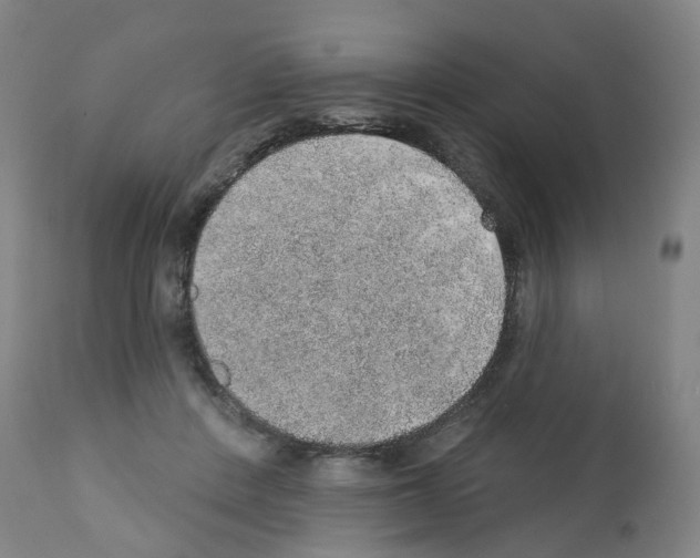 X0000112380408200909241220