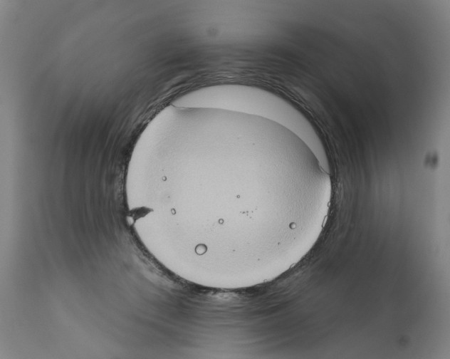 X0000112380409200909241220