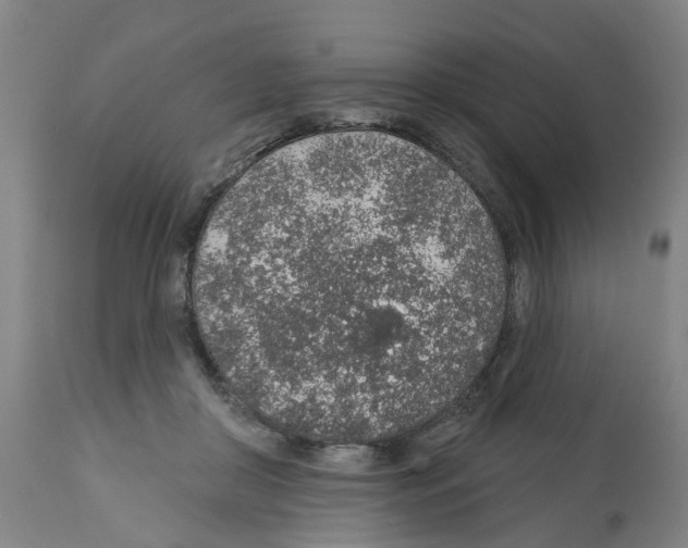 X0000112380410200909241220