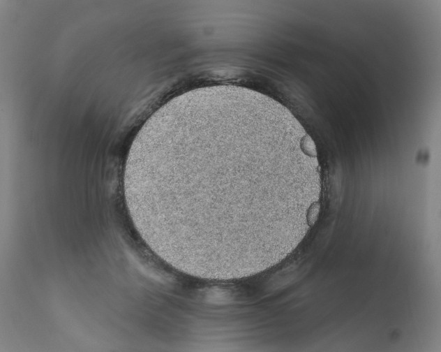 X0000112380412200909241220