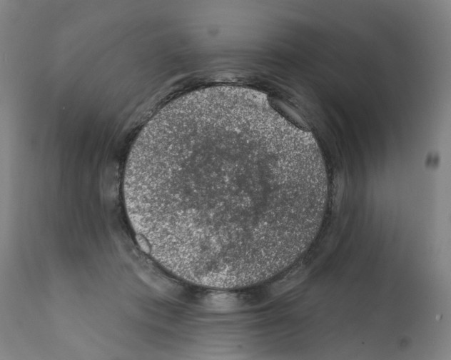 X0000112380413200909241220