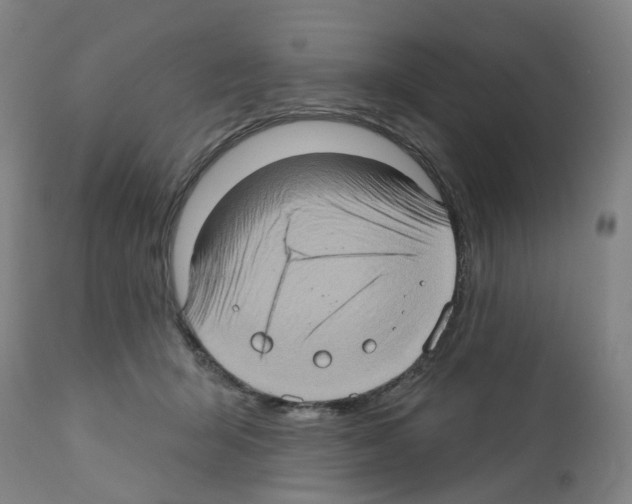 X0000112380415200909241220