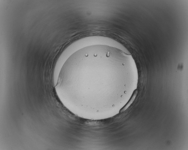 X0000112380417200909241220