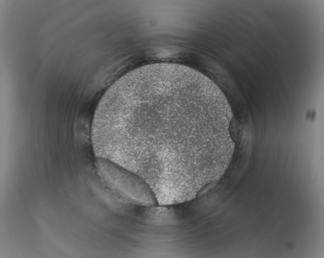 X0000112380421200909241219