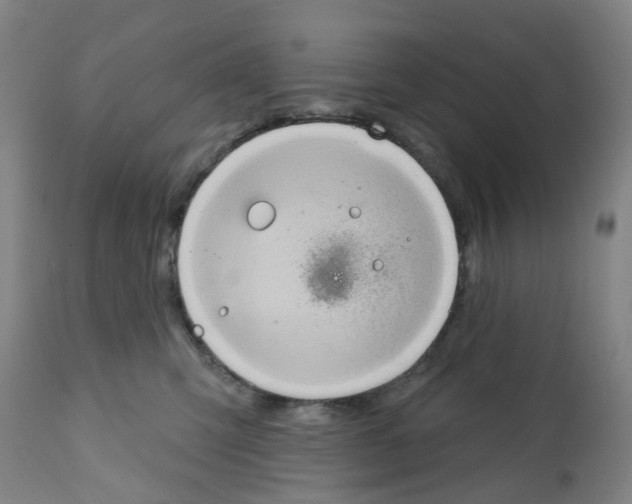 X0000112380423200909241219