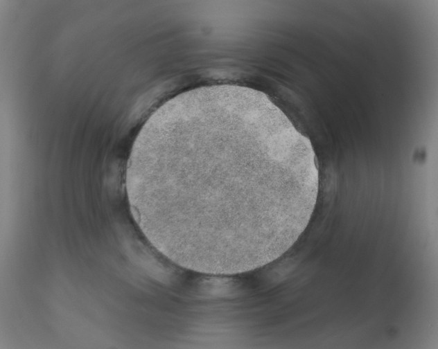 X0000112380428200909241219