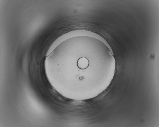 X0000112380429200909241219