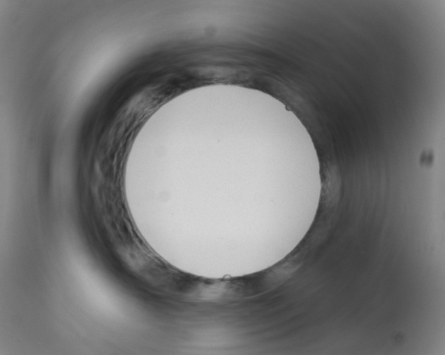 X0000112380430200909241219