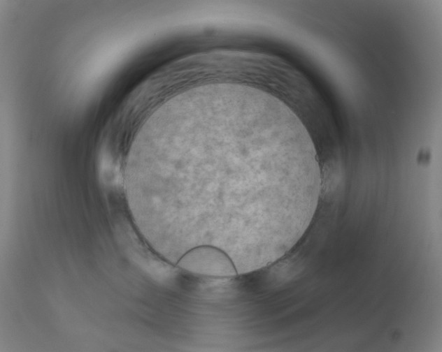 X0000112380431200909241219