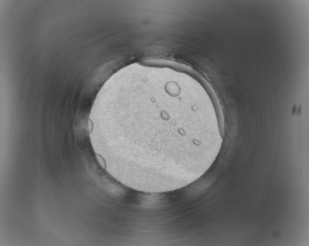 X0000112380432200909241219