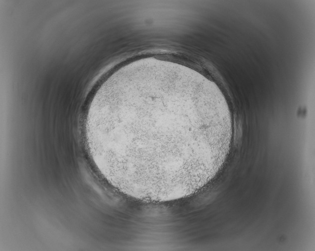 X0000112380435200909241218