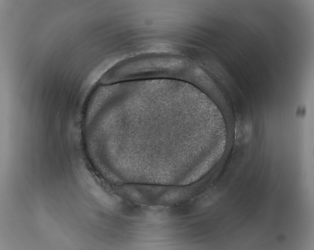 X0000112380436200909241219