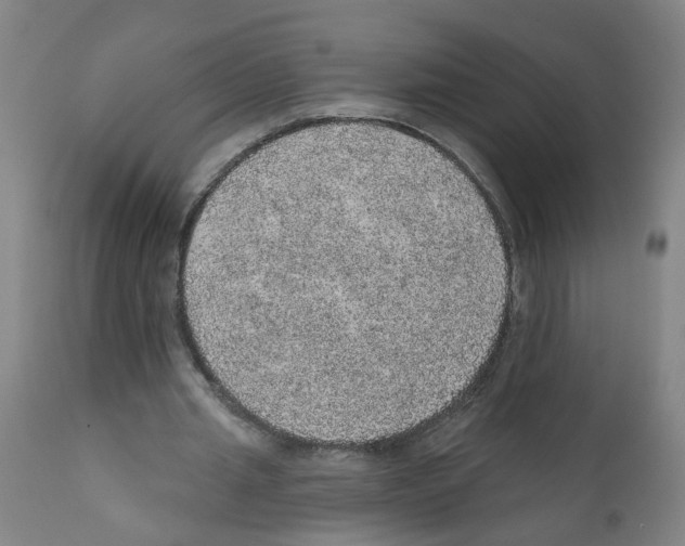 X0000112380437200909241219