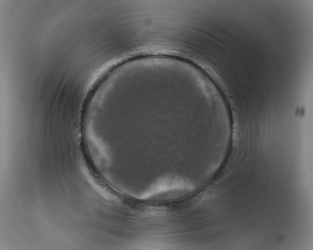 X0000112380438200909241219